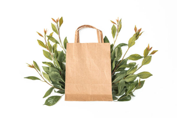 Bolsa de papel kraft sobre un montón de hojas verdes en un fondo blanco
