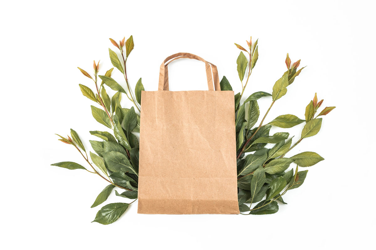Bolsa de papel kraft sobre un montón de hojas verdes en un fondo blanco